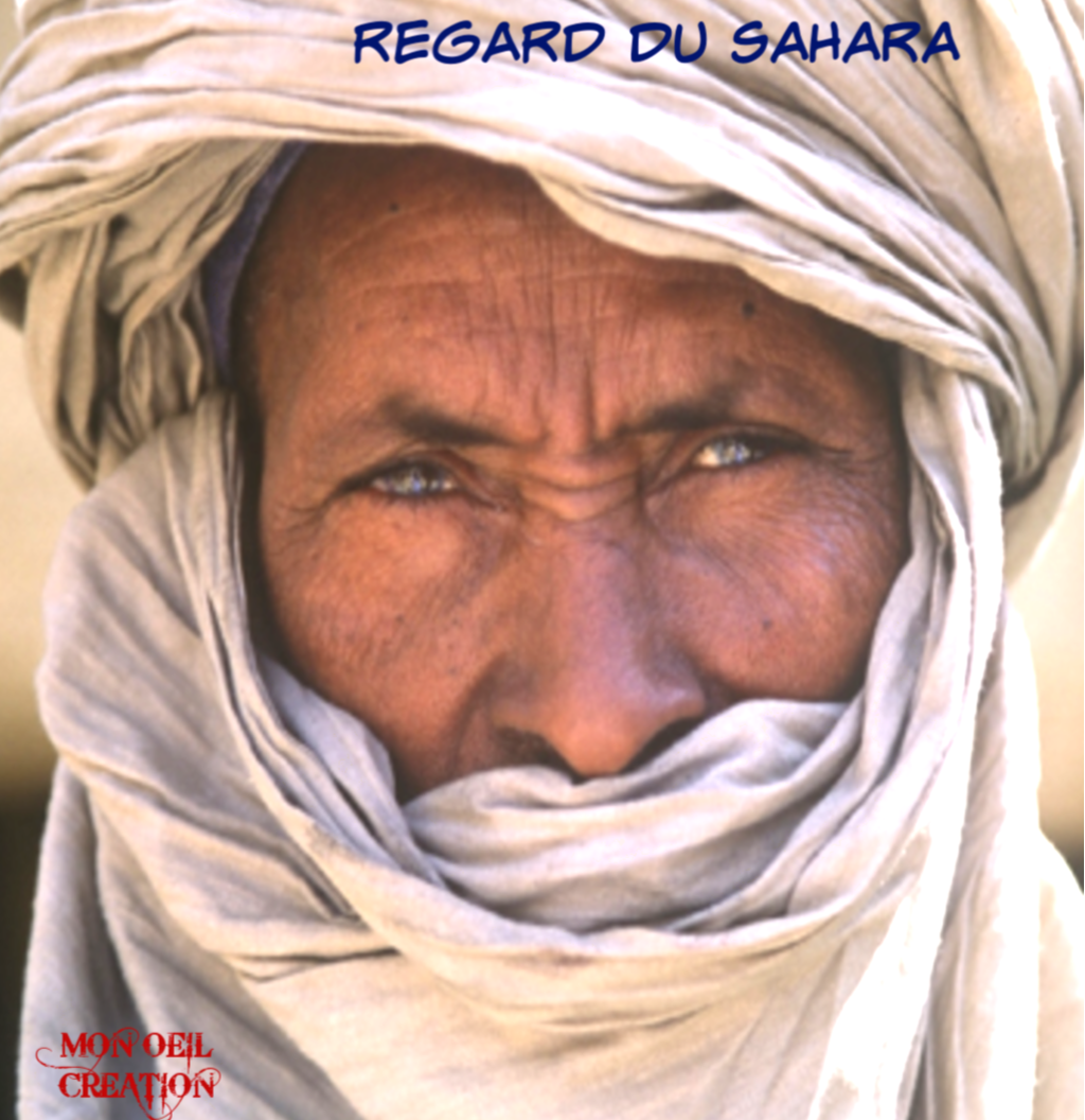 AI13. Portrait - Regard Du Sahara