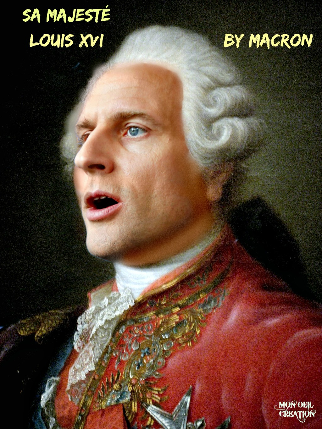 AL9. Portrait - Louis XVI By Macron