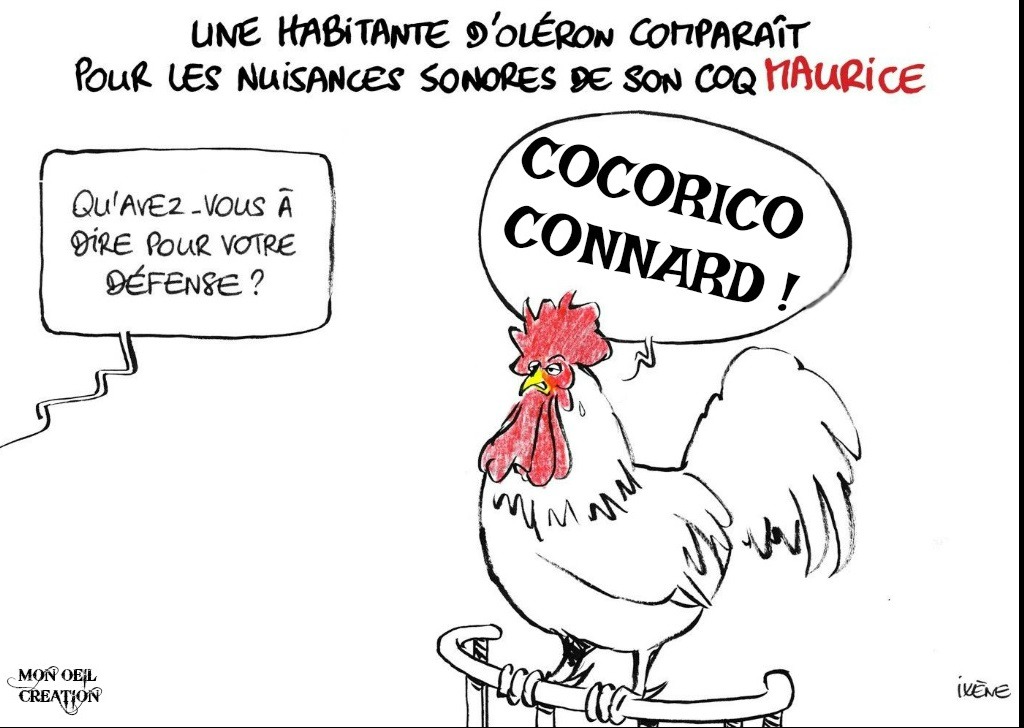 AM9. Politique - Maurice Le Coq