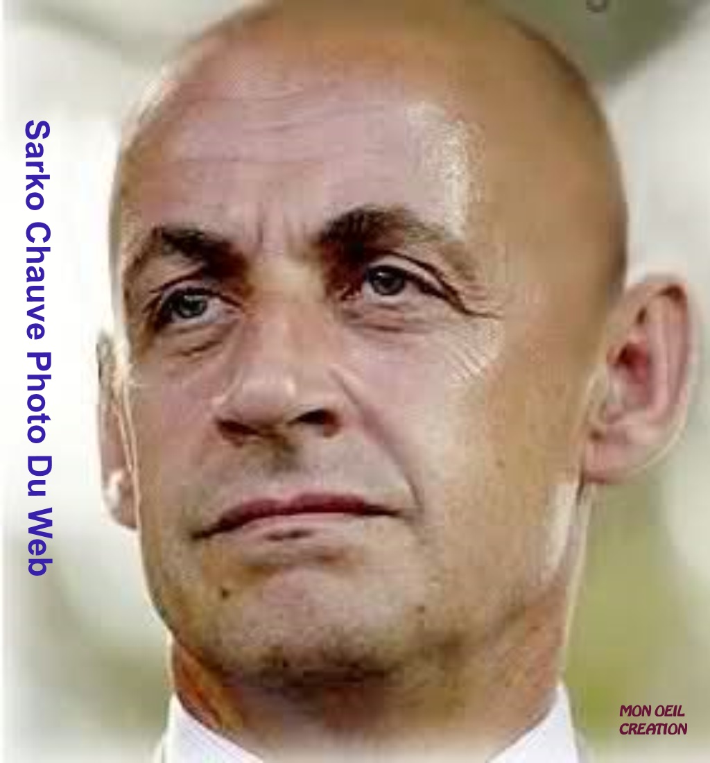 AN14. Portrait - Sarkozy Chauve