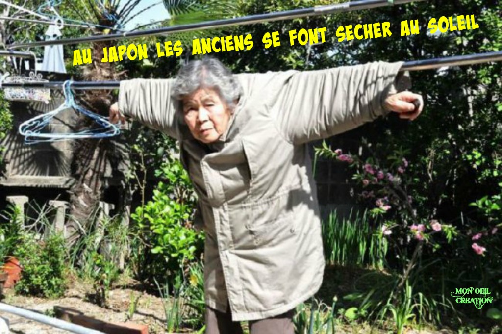 AN19. Humour - Grand Mère Japonaise de 89 Ans