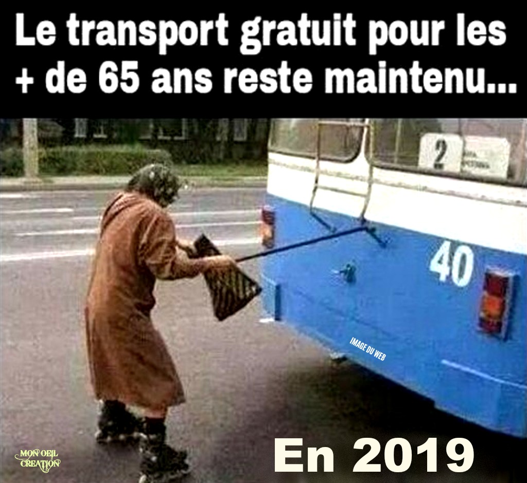 AN6. Humour - Transport Seniors 2019