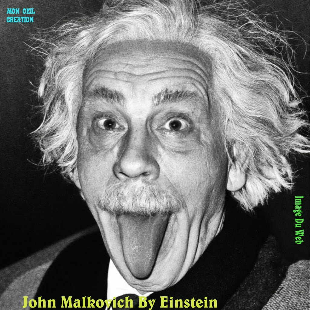 AO20. Portraits - John Malkovich By Einstein