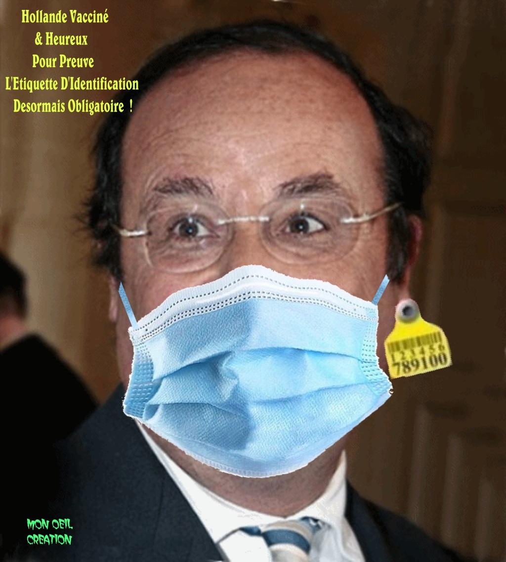 AQ6. Portrait - Hollande Vacciné
