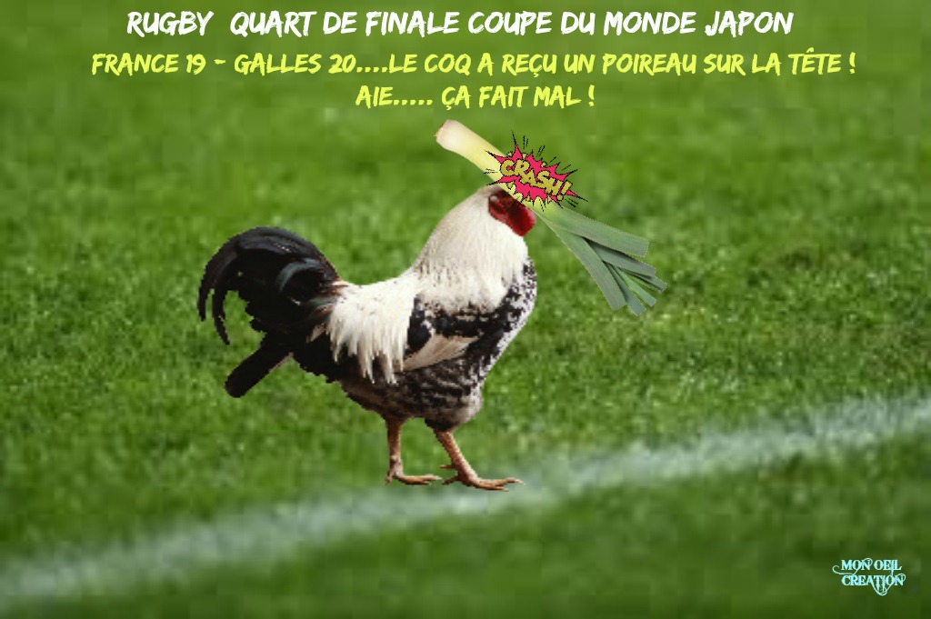 AP17. Humour - Rugby France Galles