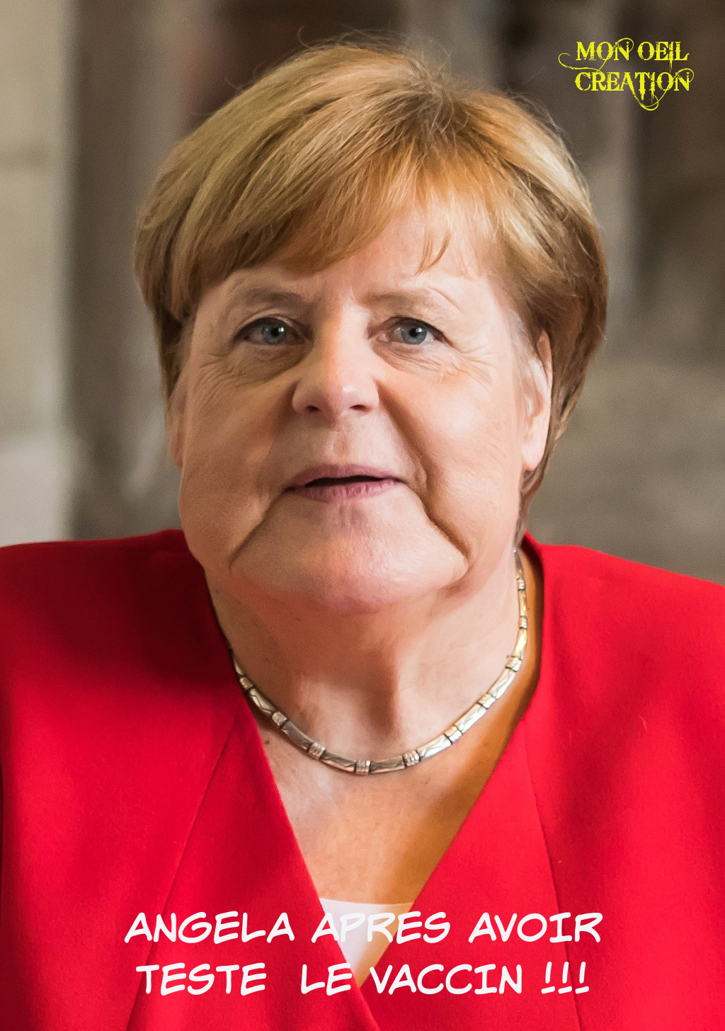 AP21. Portrait - Merkel Bouffie Suite Vaccin Fakes