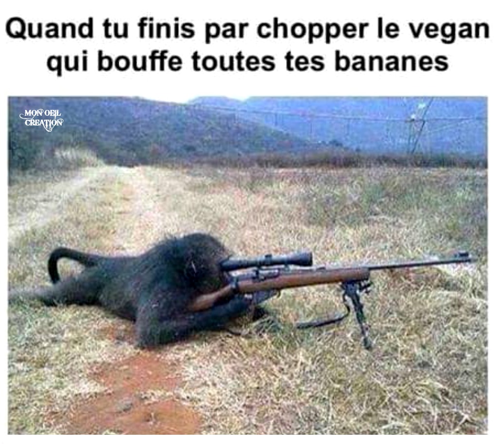 AQ1. Humour - Les Bananes Vegan