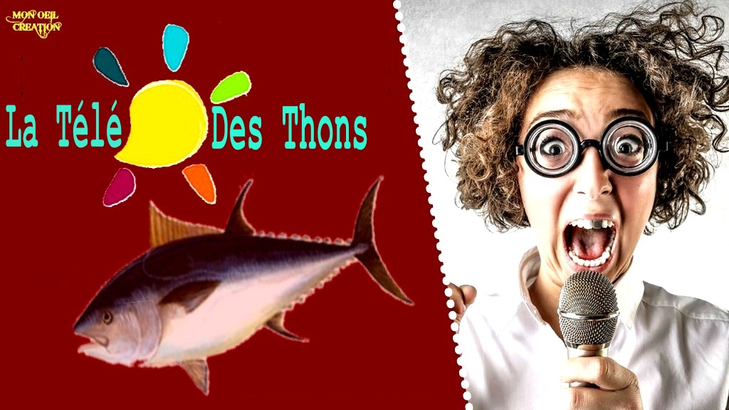 AQ20. Humour - La Télé Des Thons