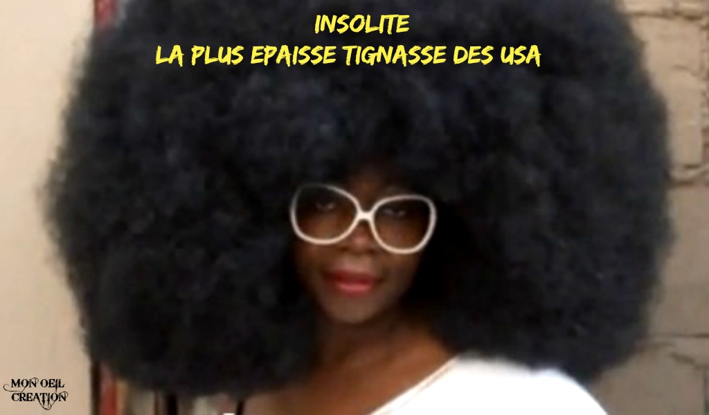AQ21. Humour - Tignasse Insolite