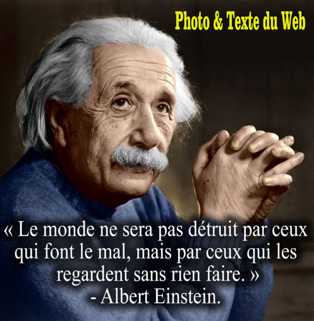 AR10. Portrait - Albert Einstein