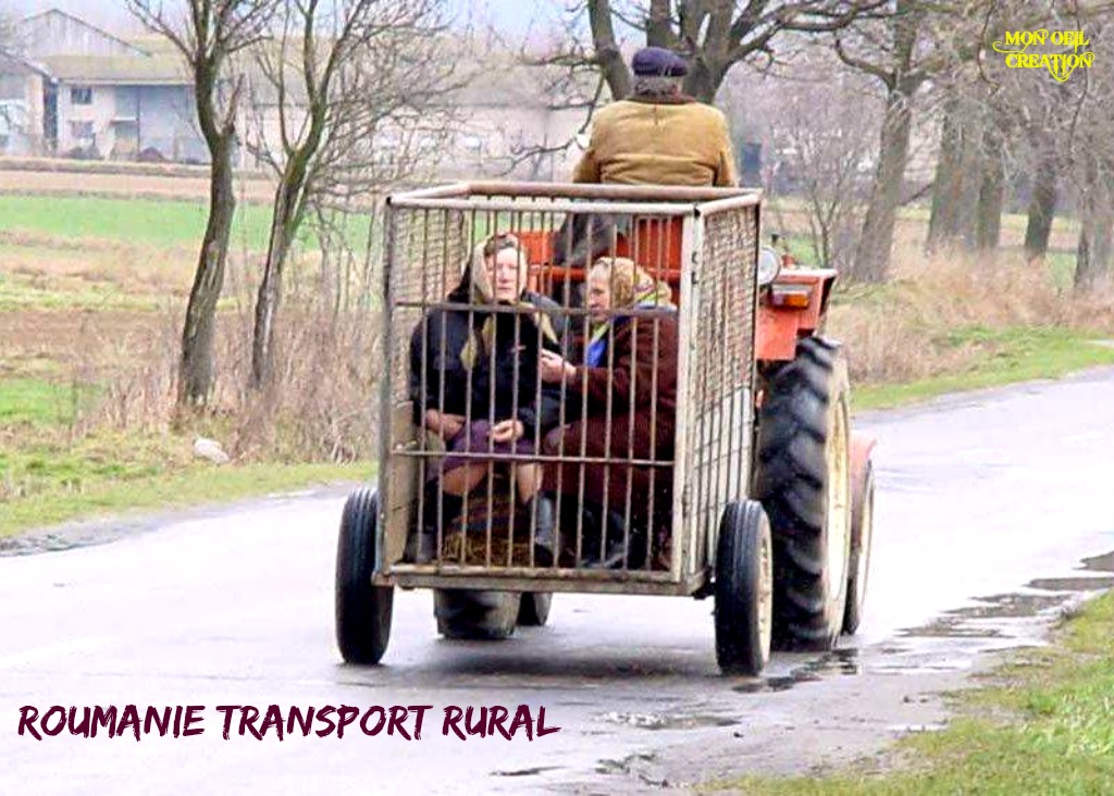 AR17. Humour - Transport Rural