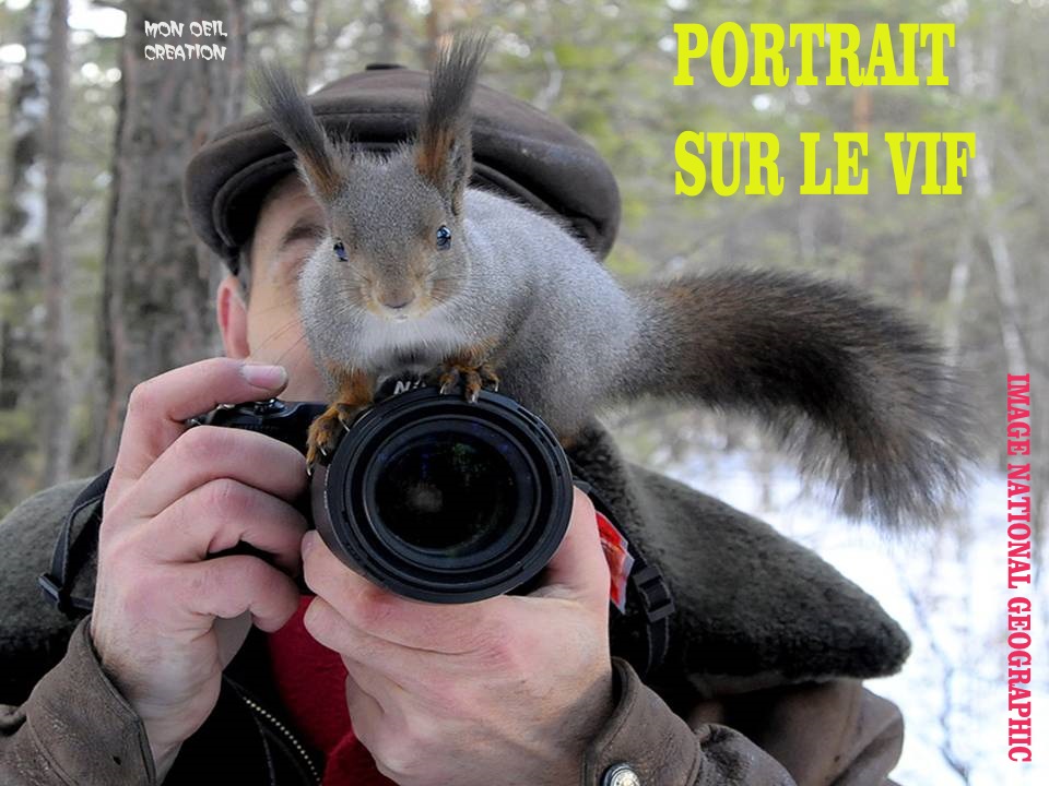 AR2. Portrait - Sur Le Vif