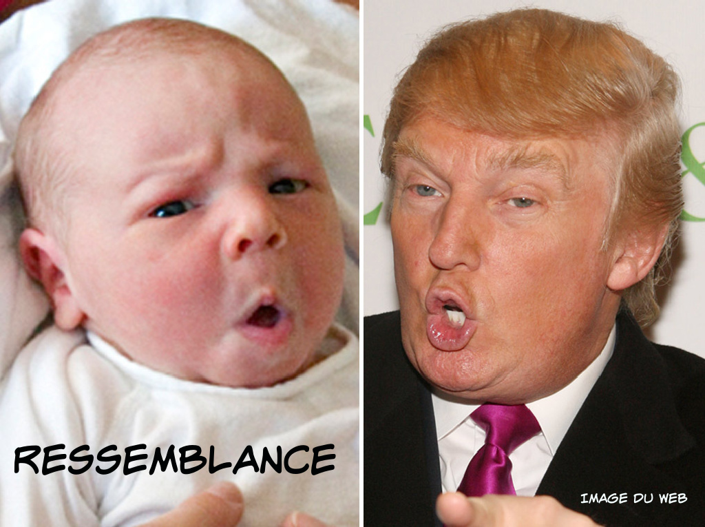 AS22. Portrait - Bebes Imitant Donald Trump