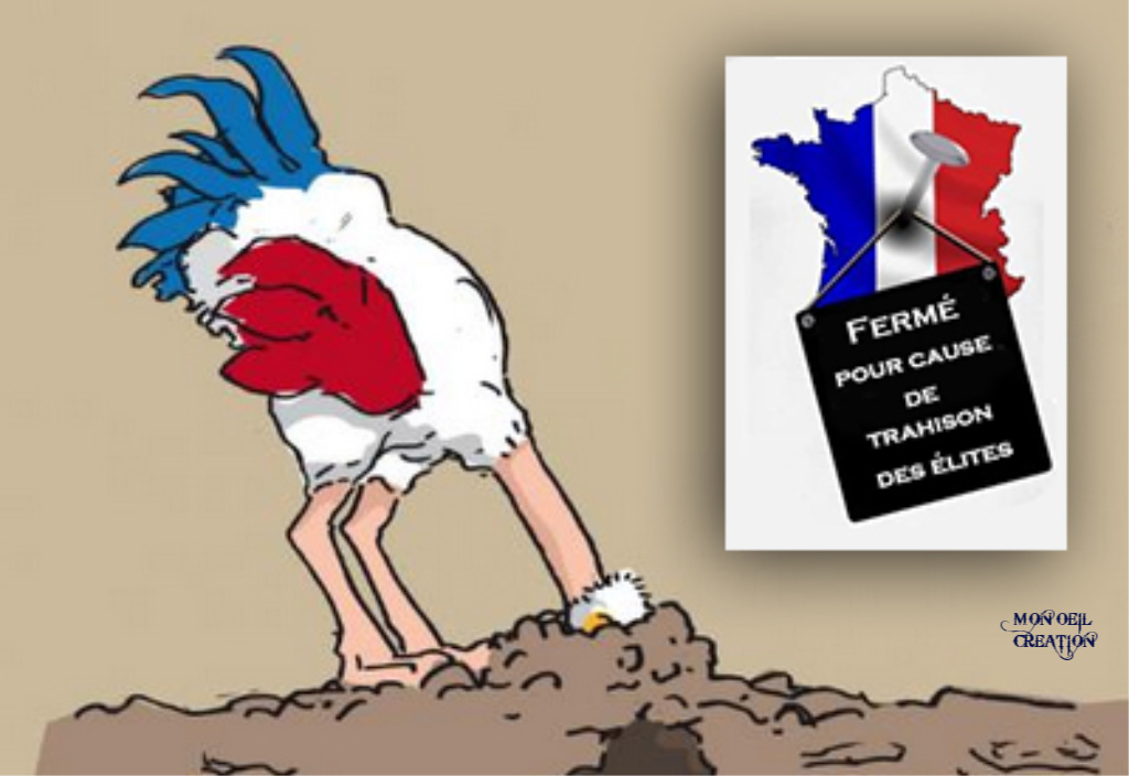 AS29. Politique - La France Meurt..