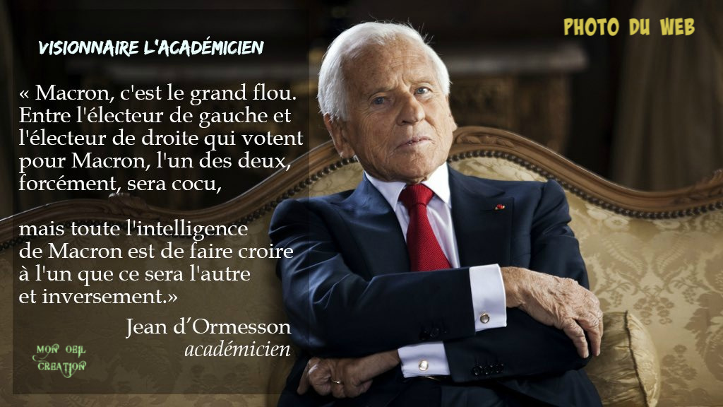 AS5. Politique - D'Ormesson Visionnaire !