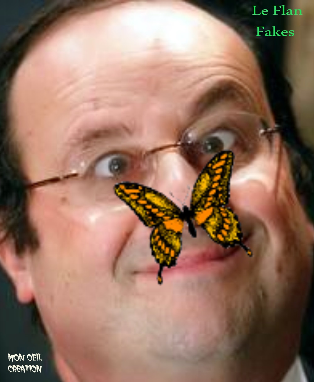 AV1. Portrait - Hollande Le Flan Ex Président