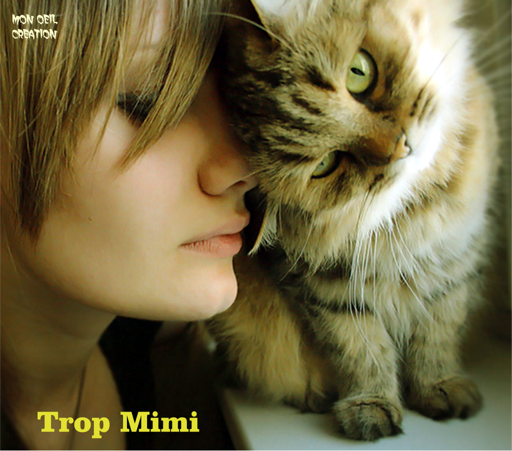 AV3. Portrait - Trop Mimi