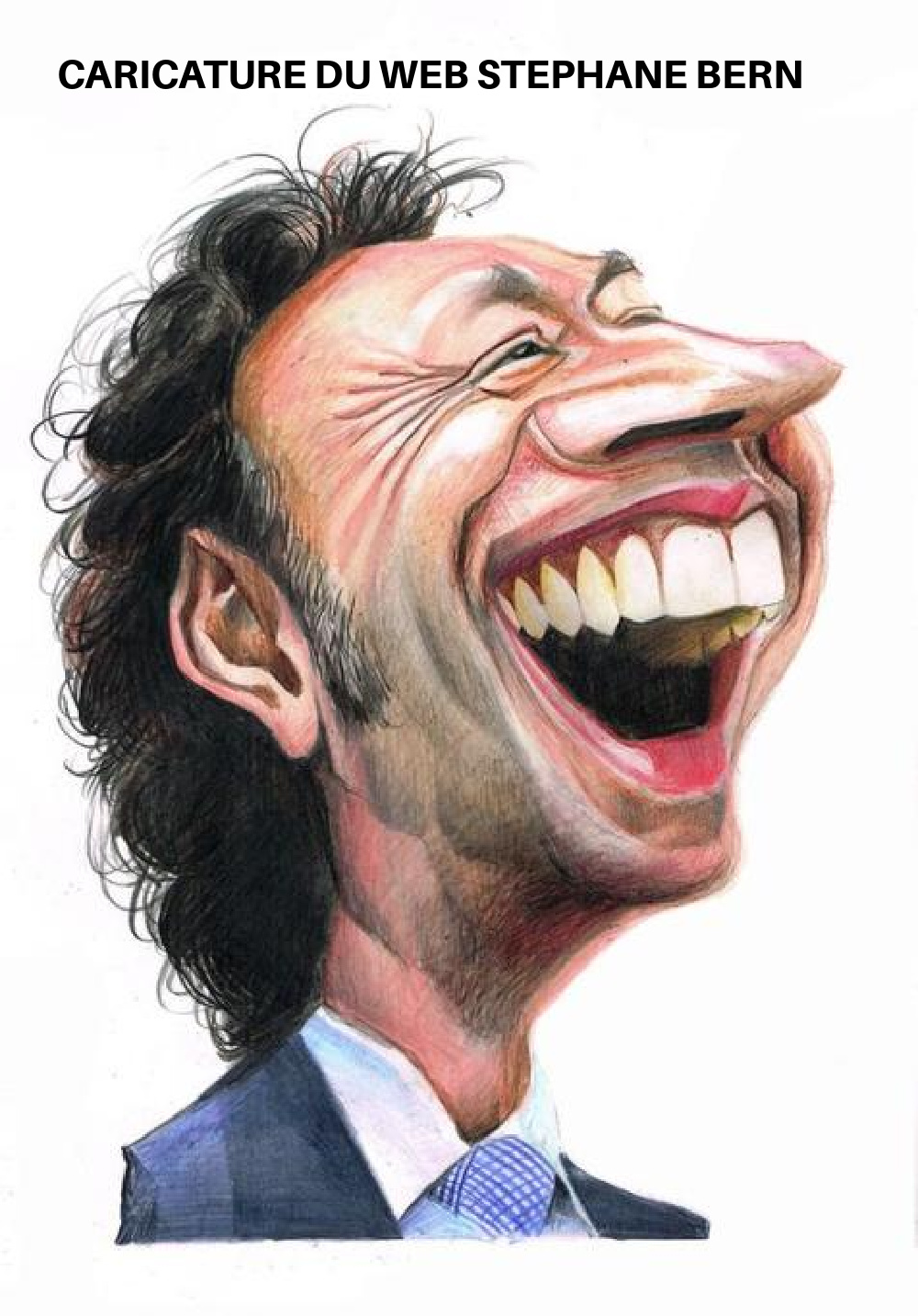 AX2. Portrait - Stephane Bern Caricature du Web