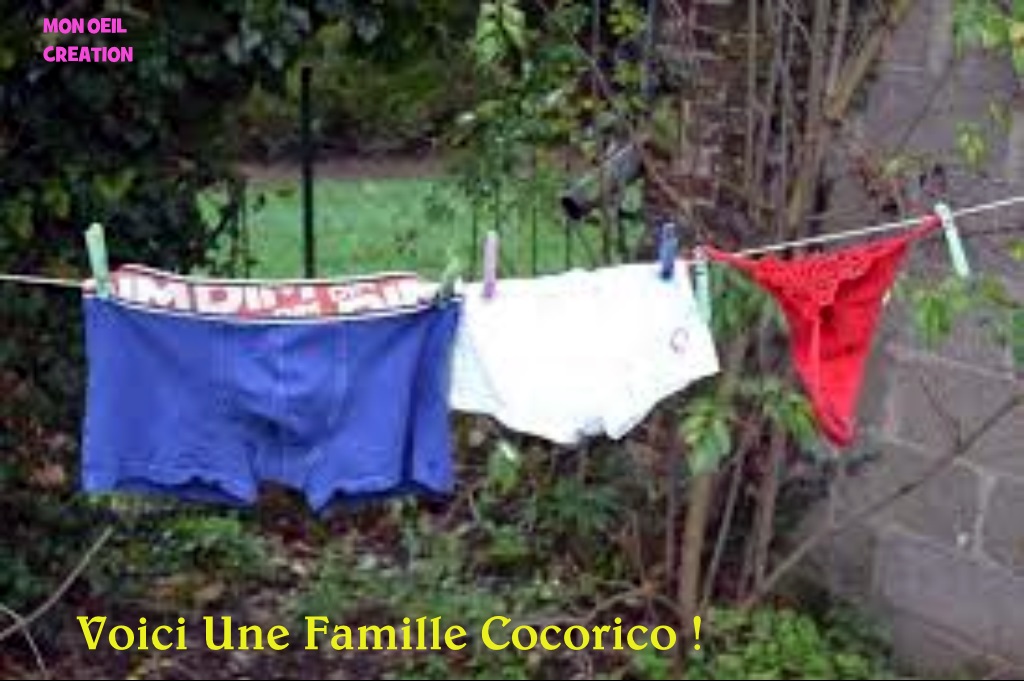 AX23. Humour - Famille Cocorico