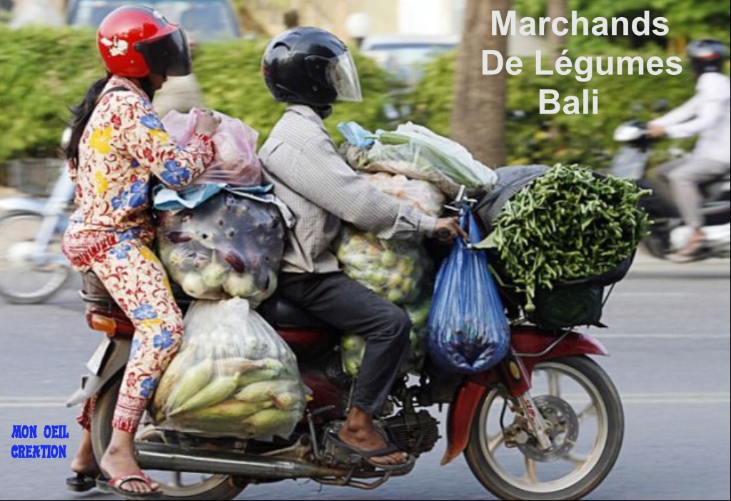 AZ23. Humour - Marchands Primeurs Bali