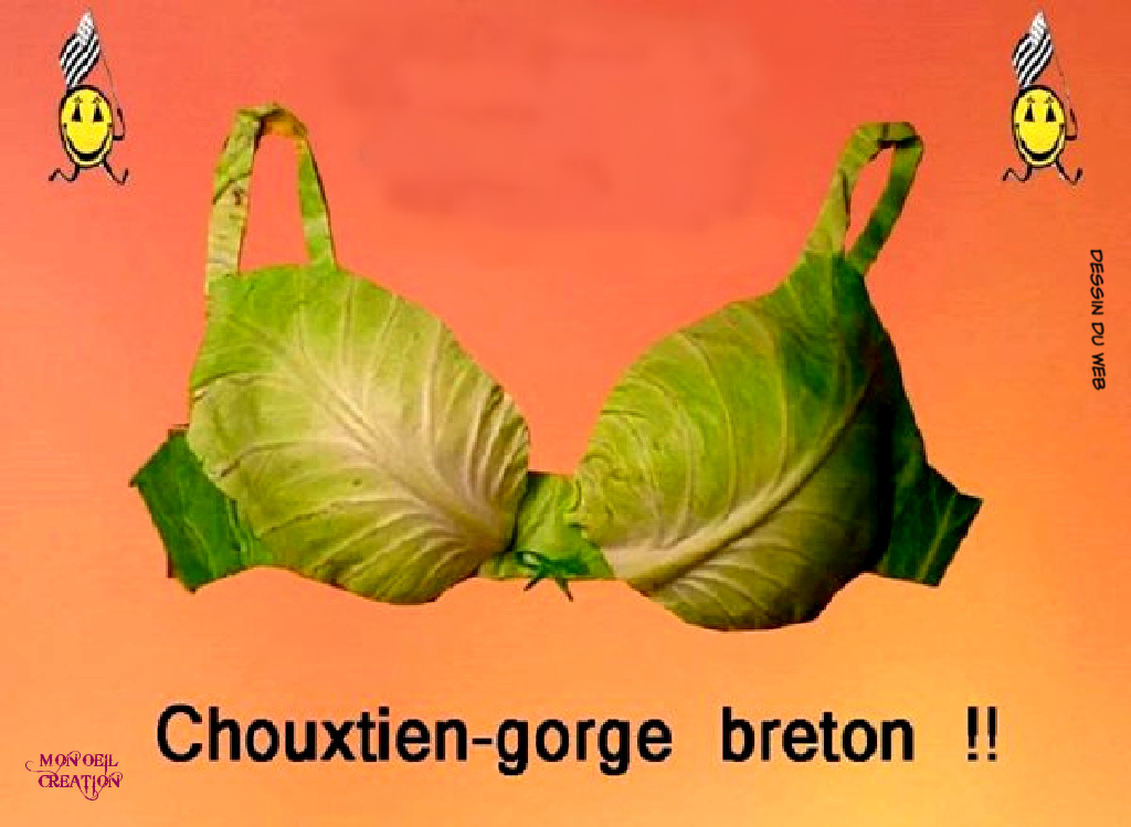 AZ24. Humour - Choux Breton