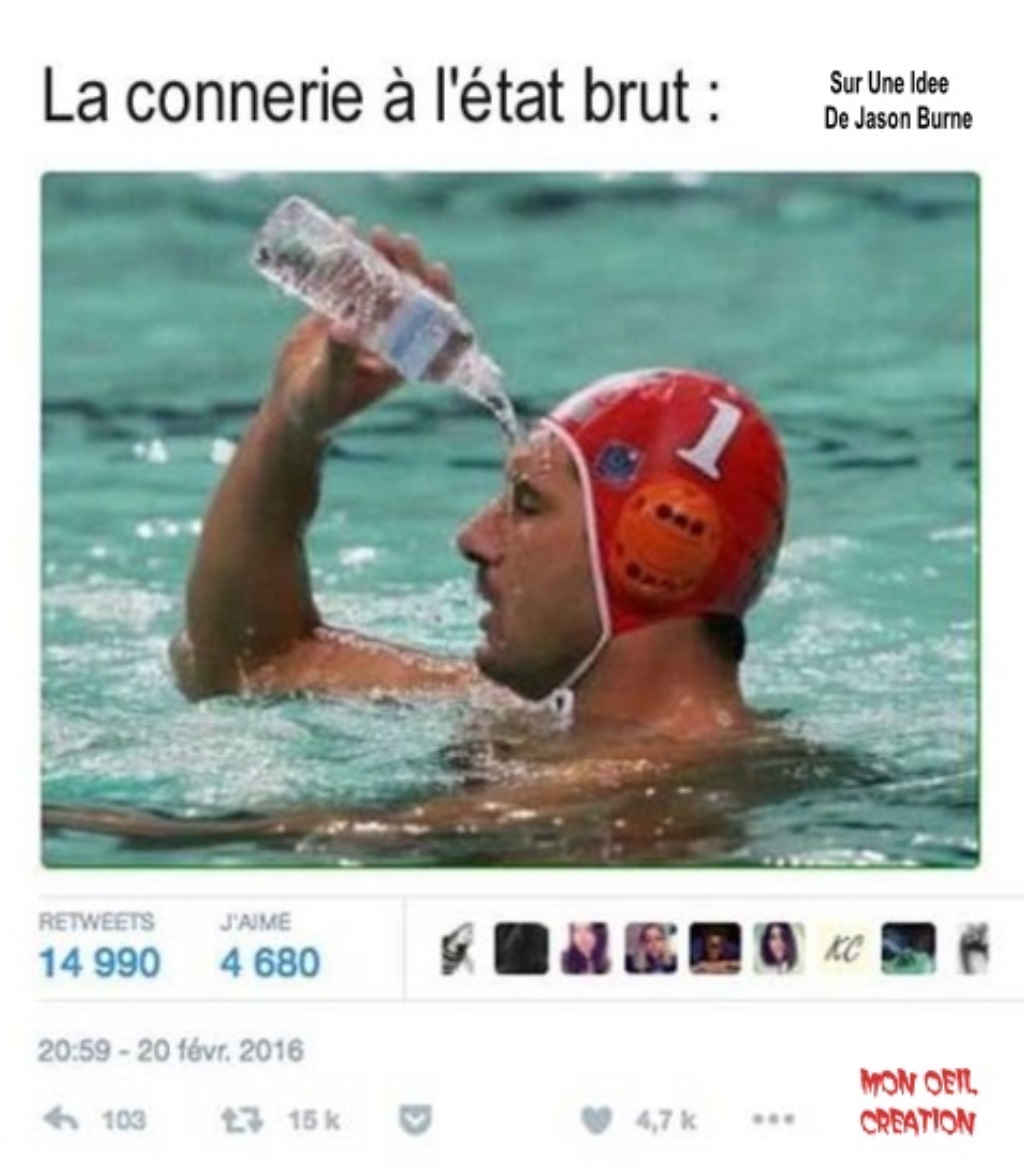 BC17. Humour - Le Connerie Du Net - Copie