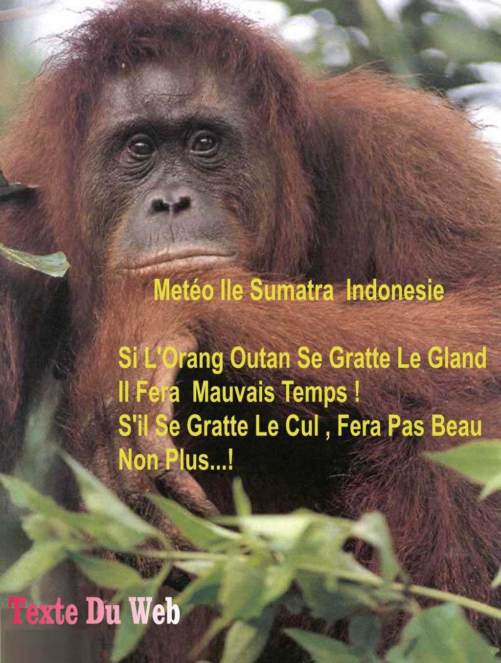 BE1. Humour - Météo Sumatra