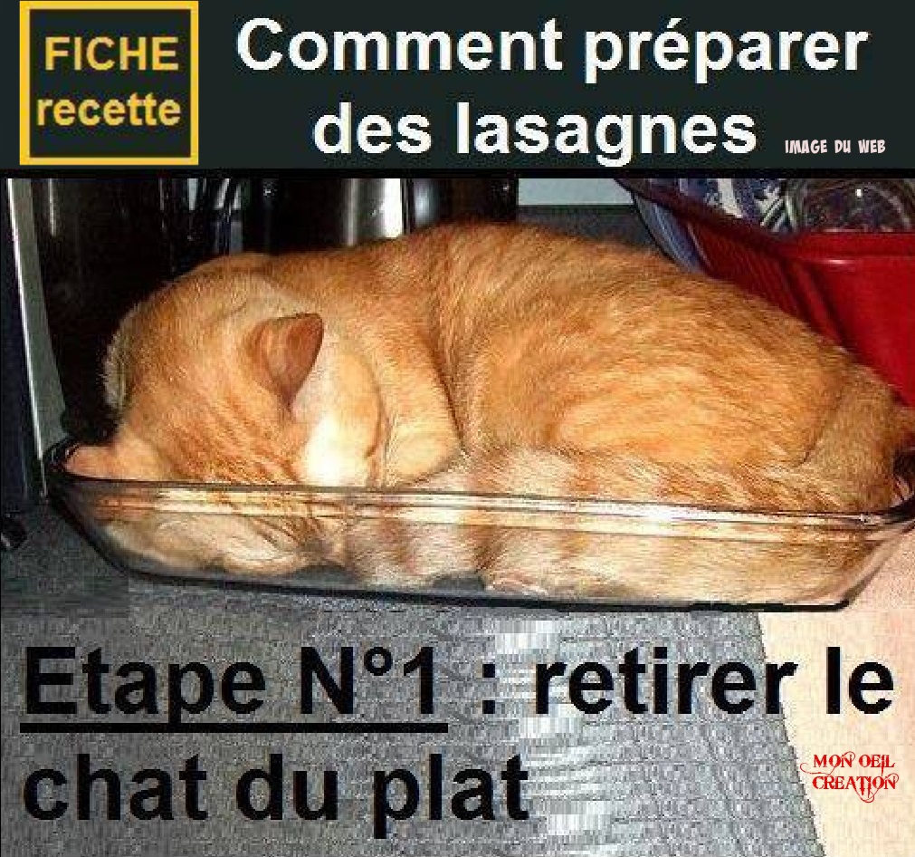 BE4. Humour - Préparation Des Lasagnes
