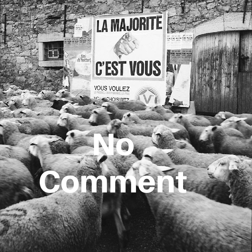 BI17. Politique - Nous Les Moutons ! No Comment !!!