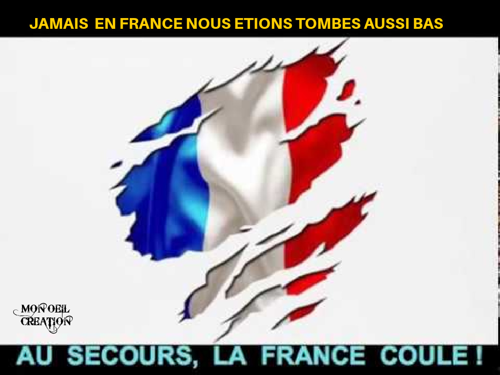 BJ20. Politique - SOS La France Coule