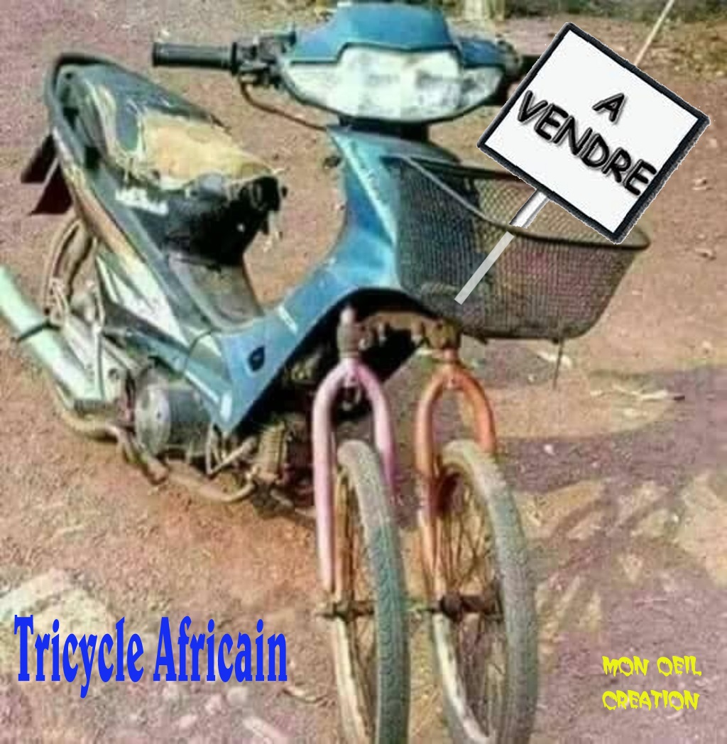BK17. Humour - A Vendre Tricycle