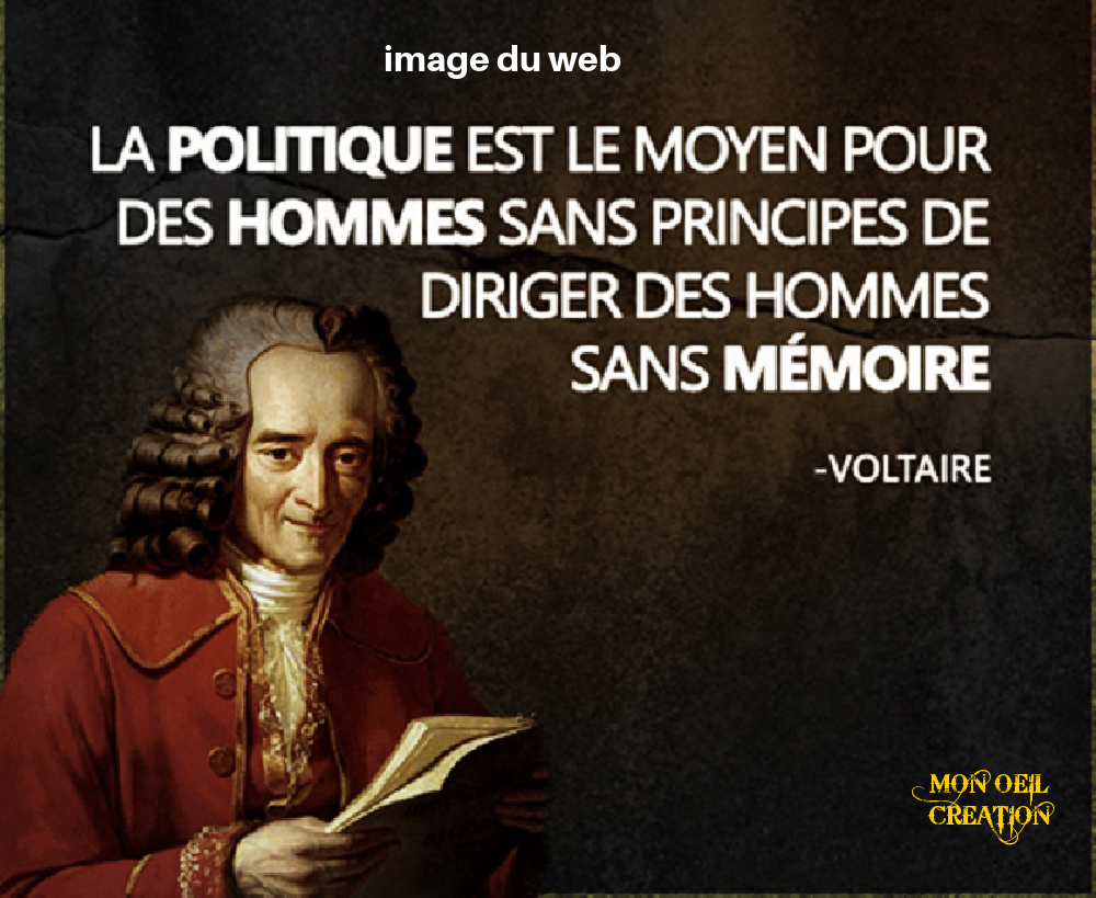 BK19. Politique - Voltaire & Les Hommes Sans Memoire