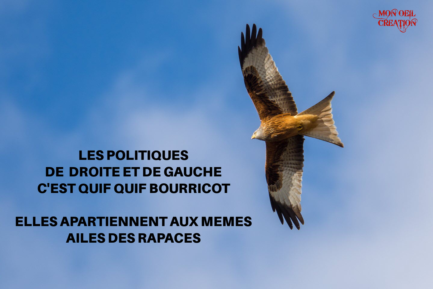 BK25. Politique - Les Rapaces