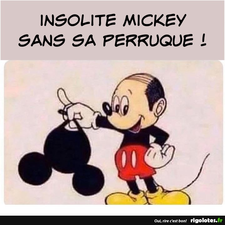 BL6. Humour - Mickey Insolite
