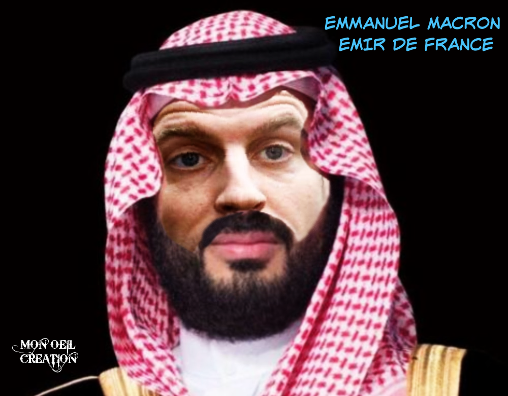BM27. Politique - Le Prince Heritier D'Arabie Saoudite By Emmanuel Macron