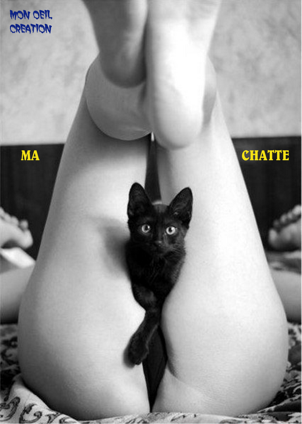 BN25. Humour - Ma Chatte