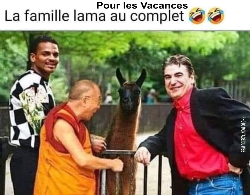BN3. Humour - La Famille Lama