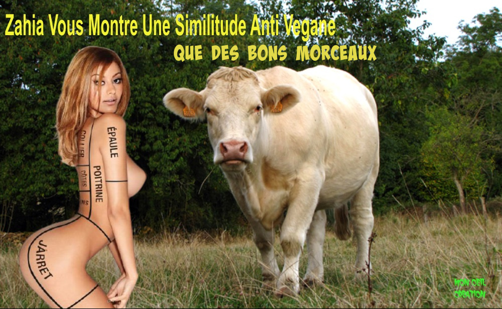 BO11. Humour - Zahia Anti Vegane Fakes