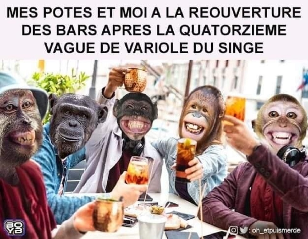 BO26. Politique - Variole Du Singe