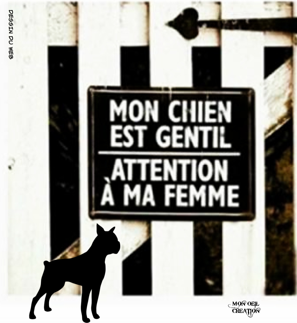 BP6. Humour - Attention !