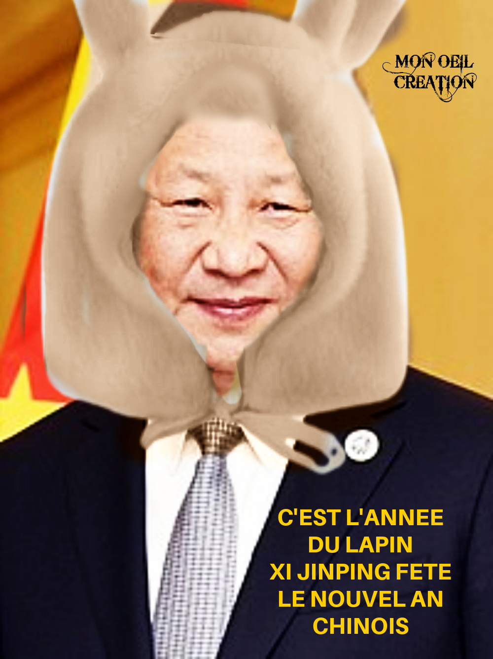 BQ09. Politique - Xi Jinping & Le Nouvel An Chinois