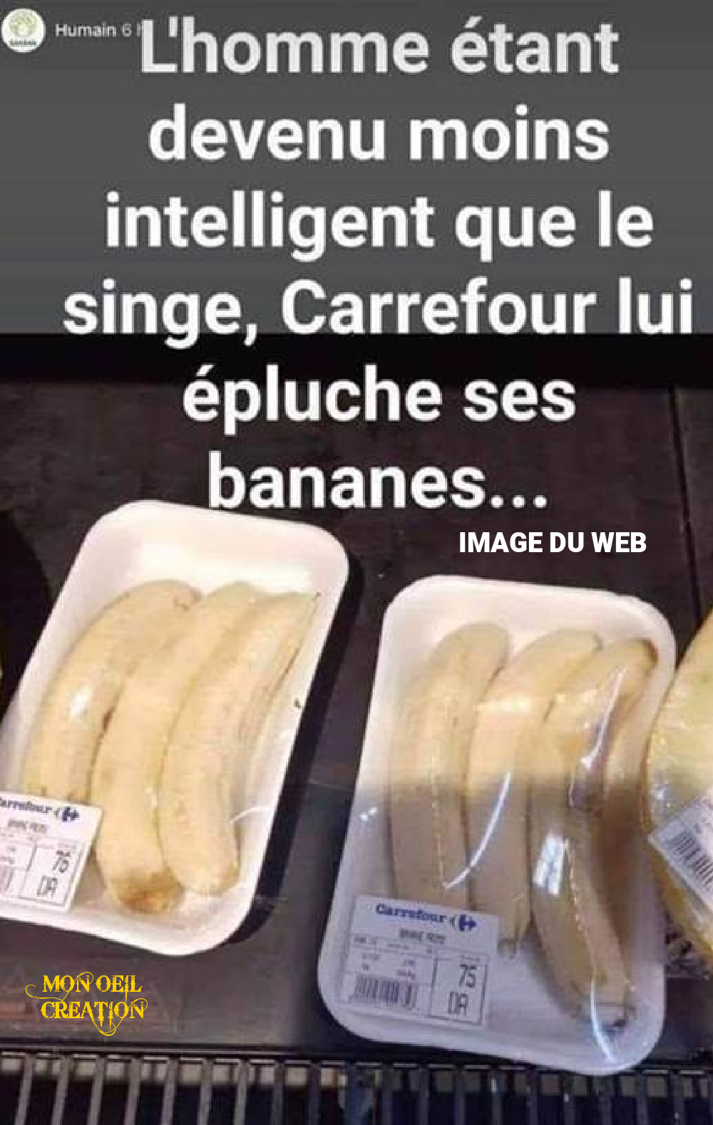 BQ19. Humour - Les Bananes
