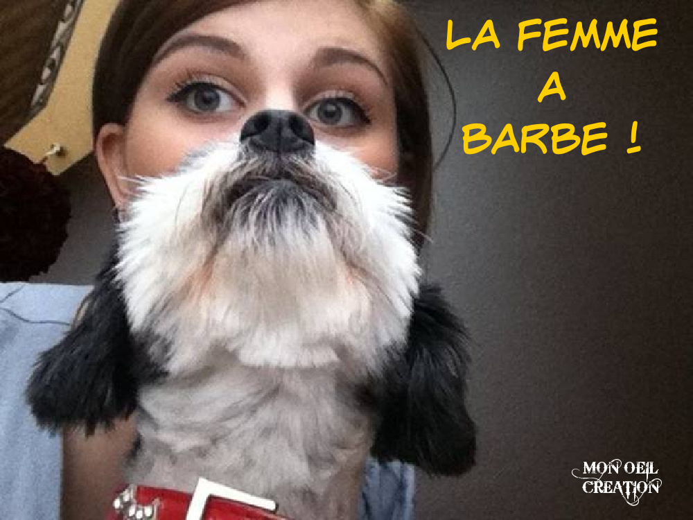 BS3. Humour - Femme A Barbe