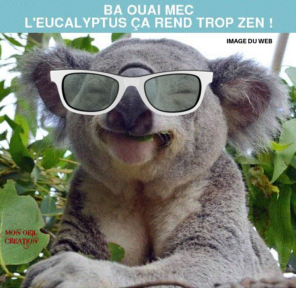 BS6. Humour - Je Suis ZEN !!