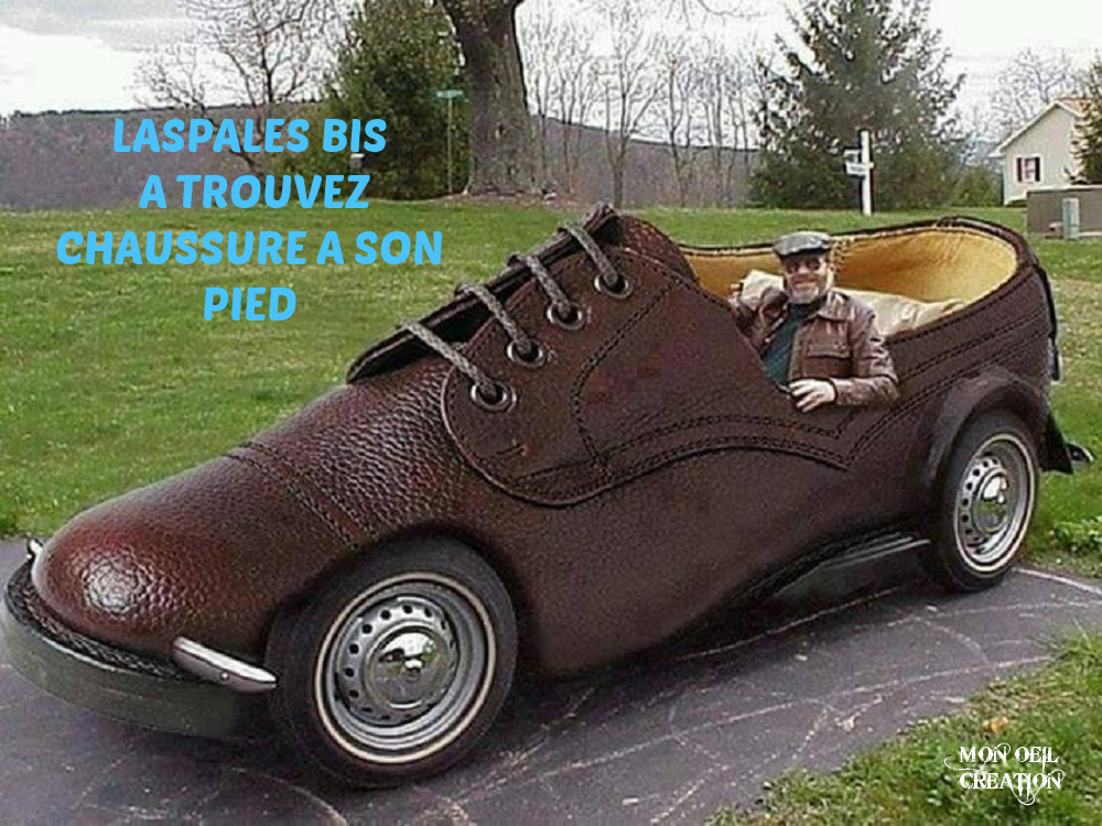 BT22. Humour - Chaussure a Son Pied
