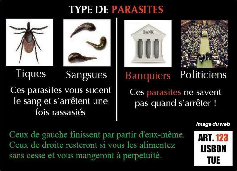 BT28. Politique - Les Parasites