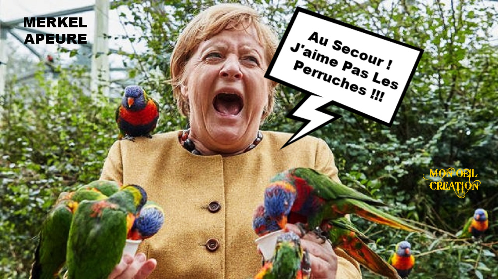 BV7. Humour - Merkel & Les Peruches !