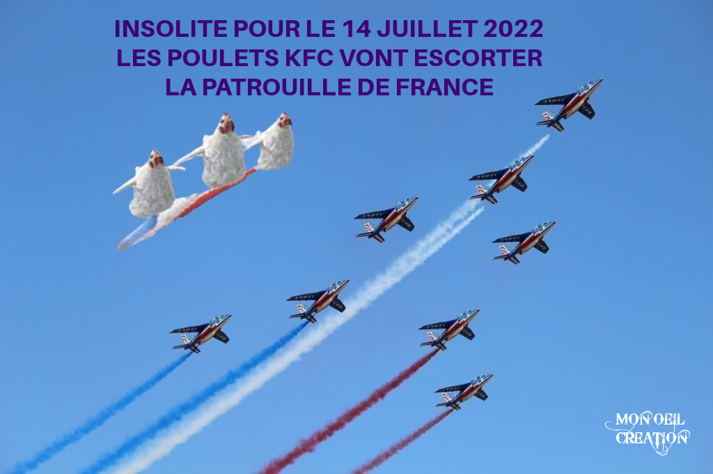 BW28. Humour - La Patrouille De France & KFC