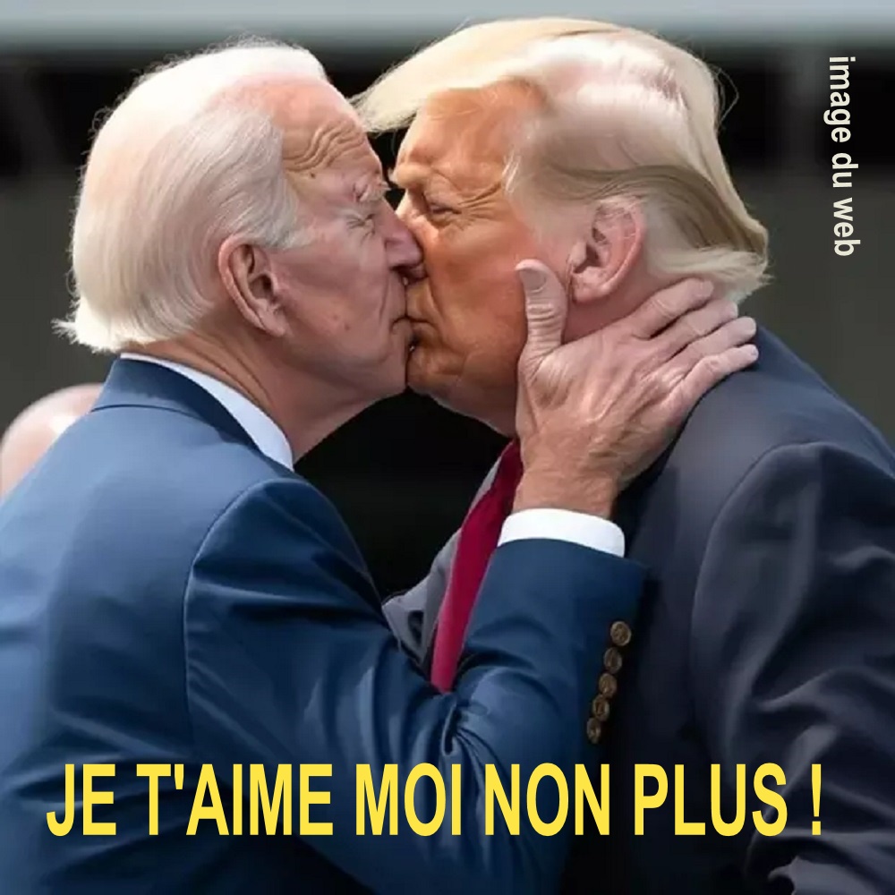 BY15. Politique - TRUMP BIDEN Je T'Aime Moi Non Plus !