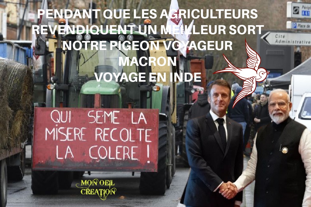 BY18. Politique - Macron Le Pigeon Voyageur